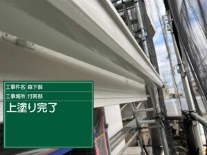 泉大津市M様邸の雨樋ナチュラルフッソ上塗り施工状況